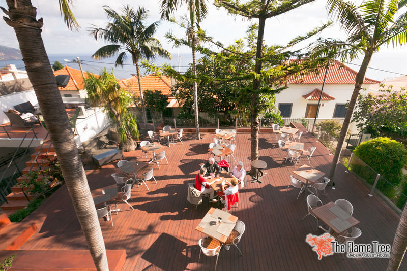 Hotel The Flame Tree Madeira (Adults Only) Funchal  Exterior foto